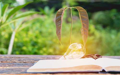 报名自考需要哪些条件?怎么复习? 报名自考需要哪些条件?怎么复习?